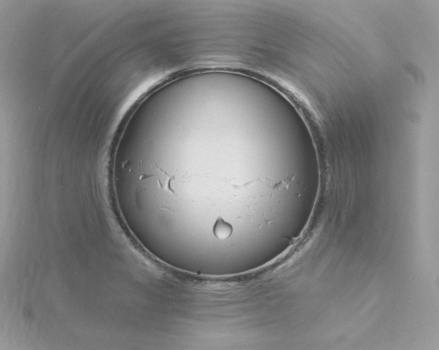 X0000115831325200911271151