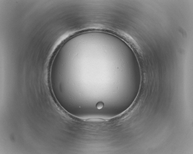 X0000115831326200911271151