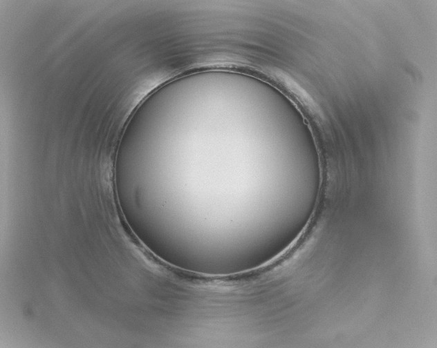 X0000115831329200911271151