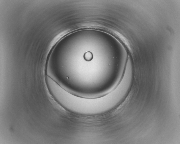 X0000115831330200911271151