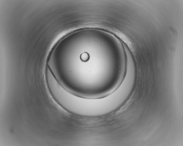 X0000115831334200911271151