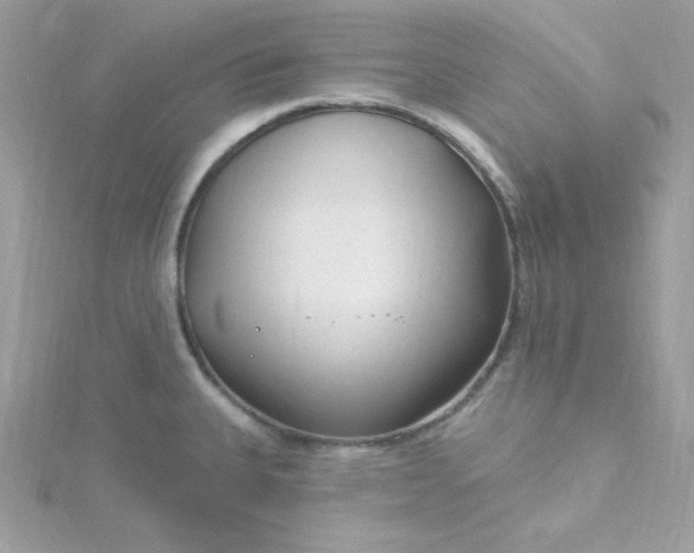 X0000115831335200911271151