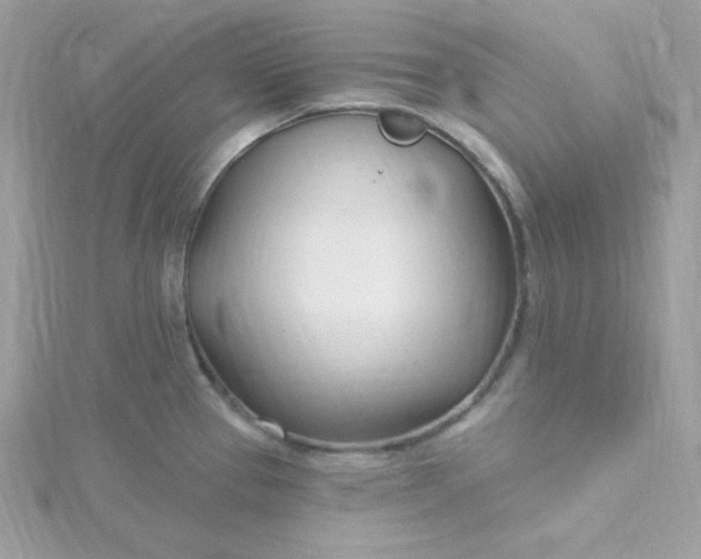 X0000115831337200911271151