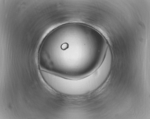 X0000115831342200911271151