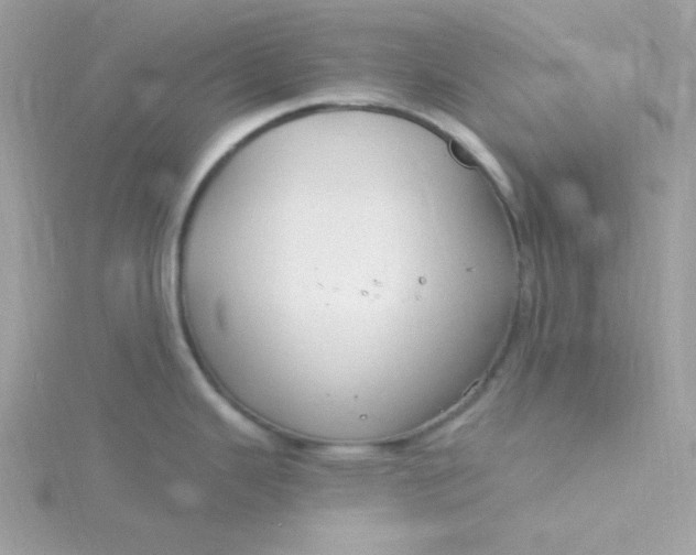 X0000115831343200911271151