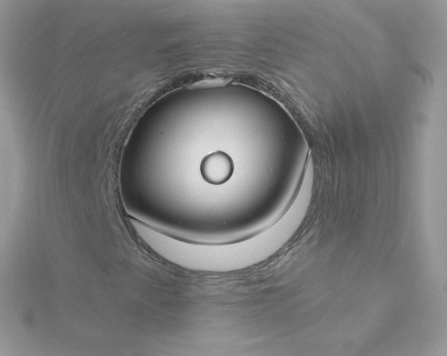 X0000115831345200911271150