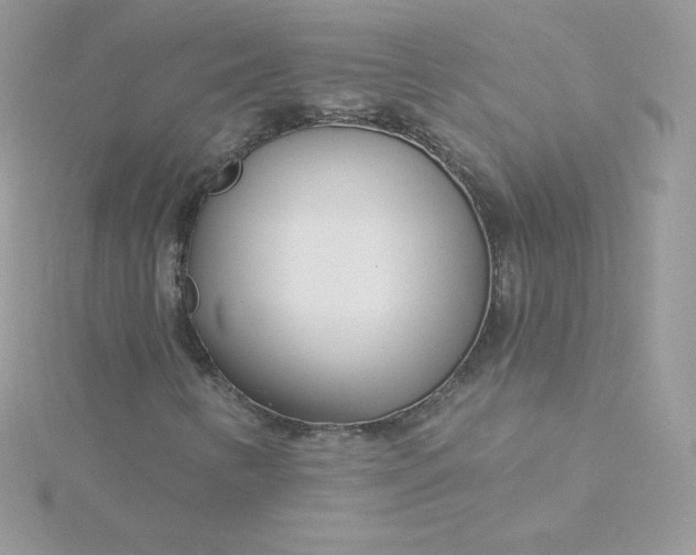 X0000115831346200911271150