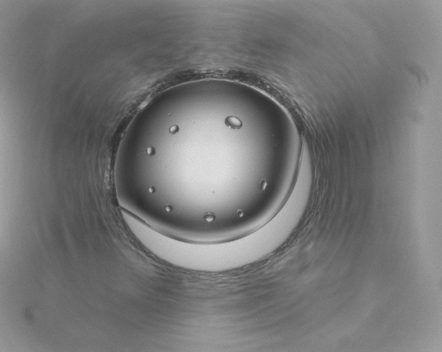 X0000115831348200911271150