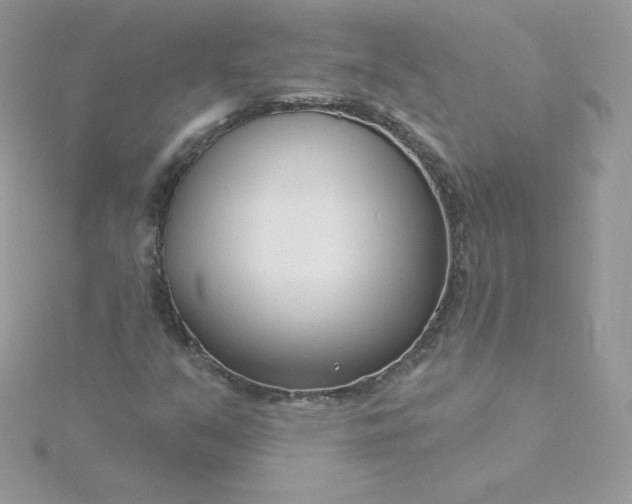 X0000115831351200911271150