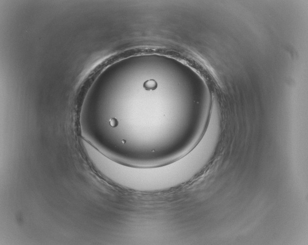 X0000115831352200911271150