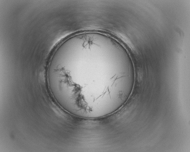 X0000115831356200911271150