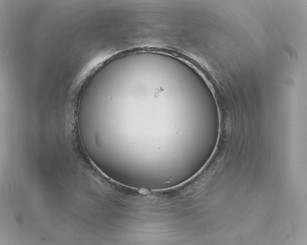 X0000115831359200911271150