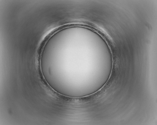 X0000115831360200911271150