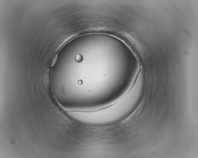 X0000115831361200911271150