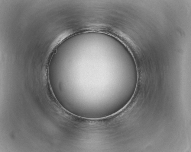 X0000115831362200911271150