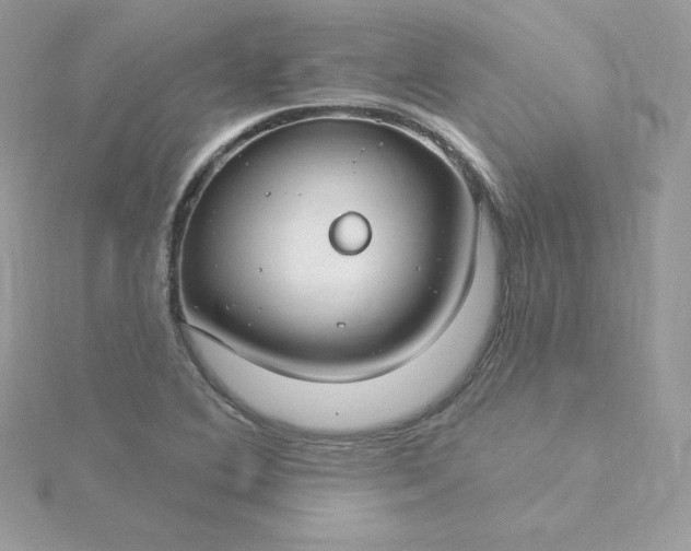 X0000115831364200911271150