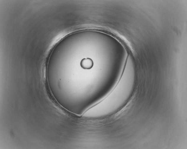 X0000115831365200911271150