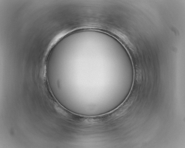 X0000115831366200911271150