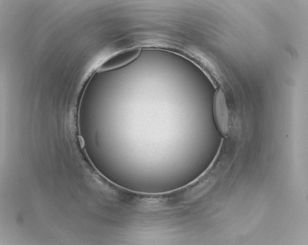 X0000115831373200911271150