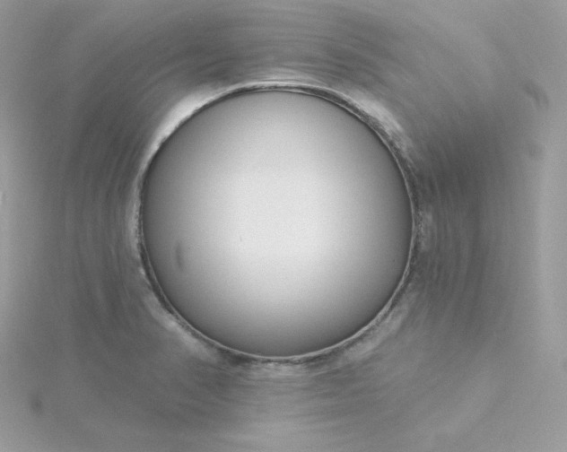 X0000115831374200911271150