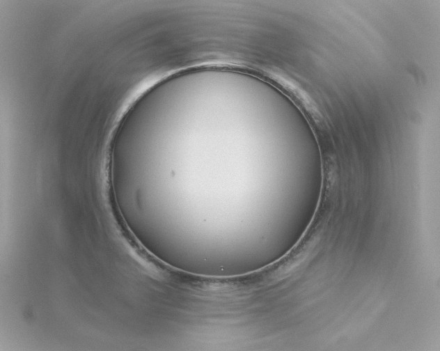 X0000115831375200911271150