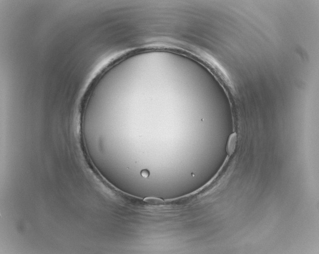 X0000115831376200911271150