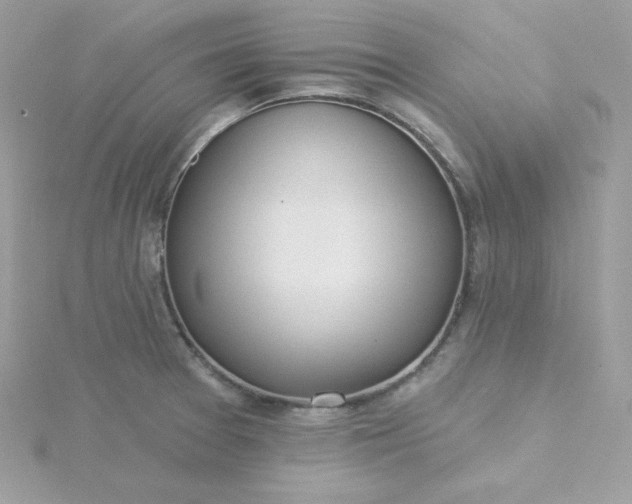 X0000115831377200911271150