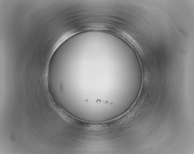 X0000115831378200911271150