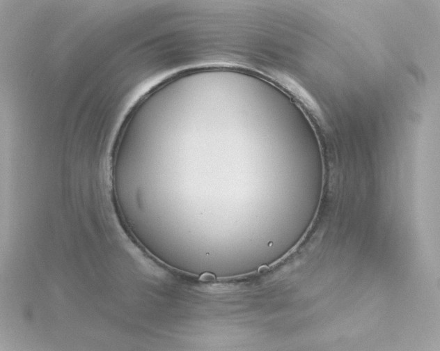 X0000115831380200911271150