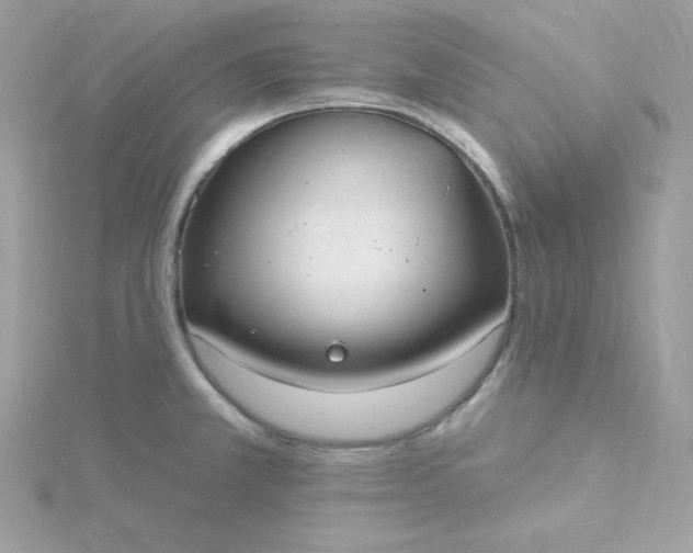 X0000115831381200911271150