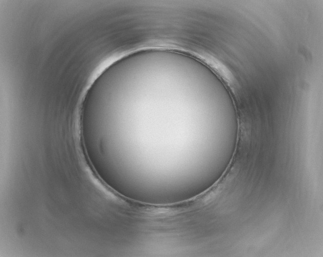 X0000115831382200911271149