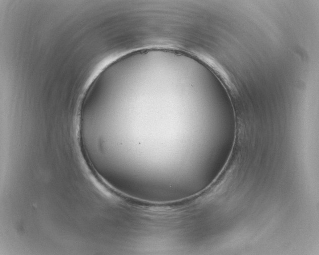 X0000115831383200911271149