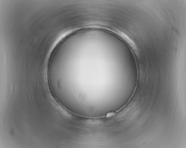 X0000115831384200911271149