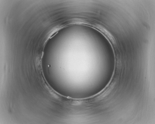 X0000115831385200911271149