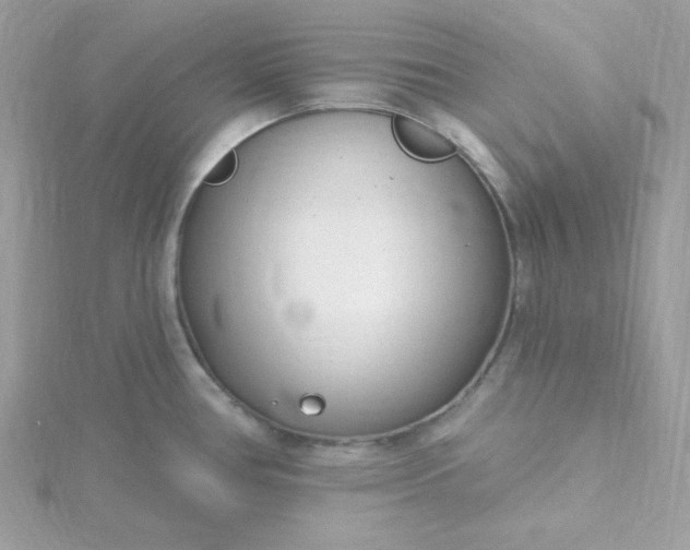 X0000115831386200911271149