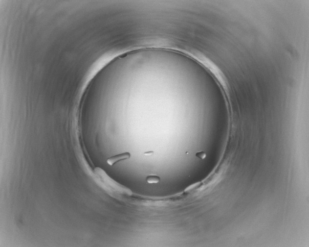 X0000115831389200911271149