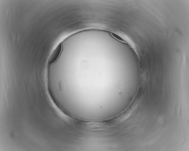 X0000115831391200911271149