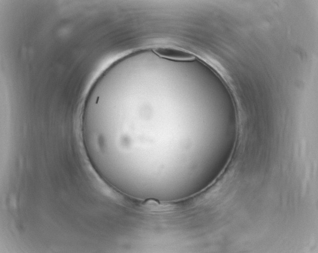 X0000115831392200911271149