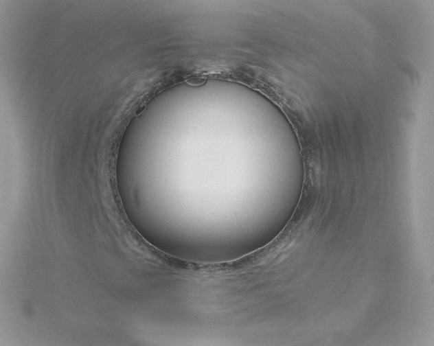 X0000115831393200911271149