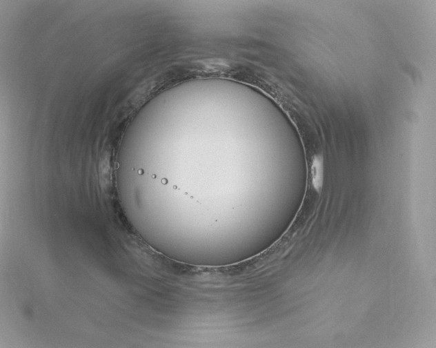 X0000115831395200911271149