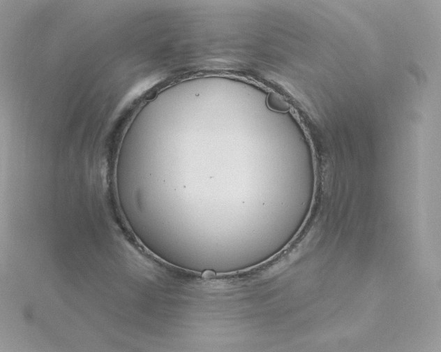 X0000115831402200911271149