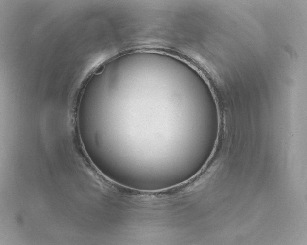 X0000115831405200911271149