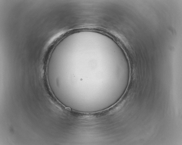 X0000115831406200911271149