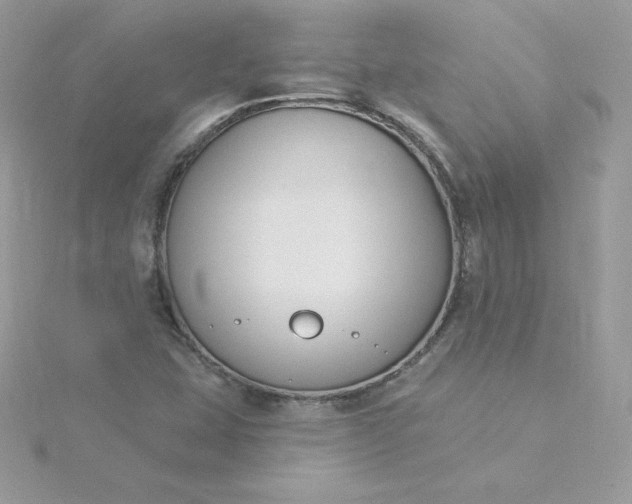 X0000115831407200911271149