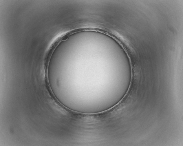 X0000115831408200911271149