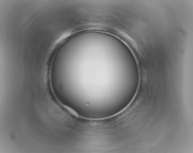 X0000115831411200911271149