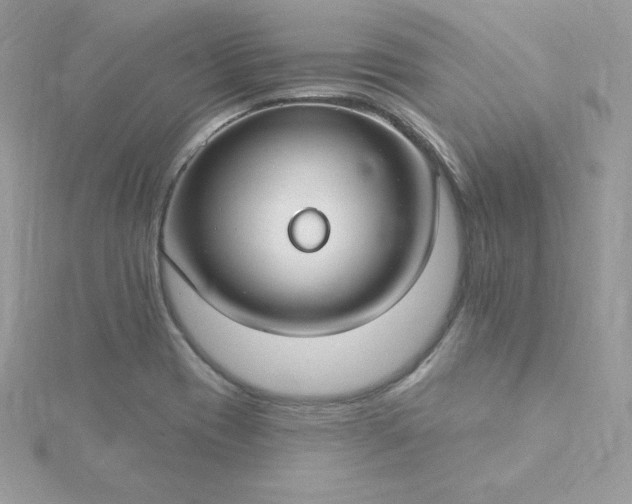 X0000115831417200911271149