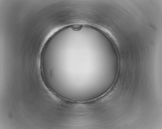 X0000115831424200911271149