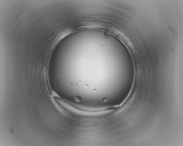 X0000115831425200911271149