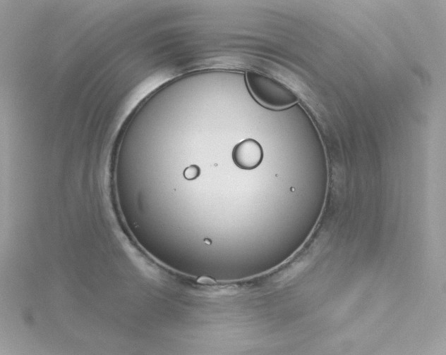 X0000115831426200911271149